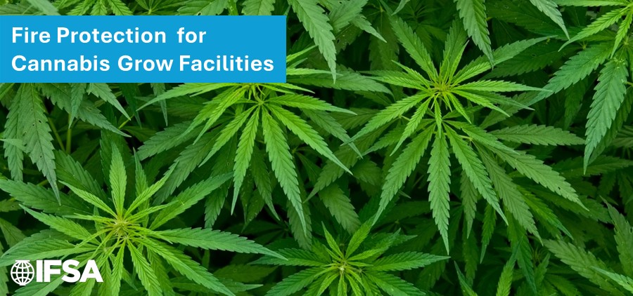 NFPA 420 and Active Fire Protection in Cannabis Facilities